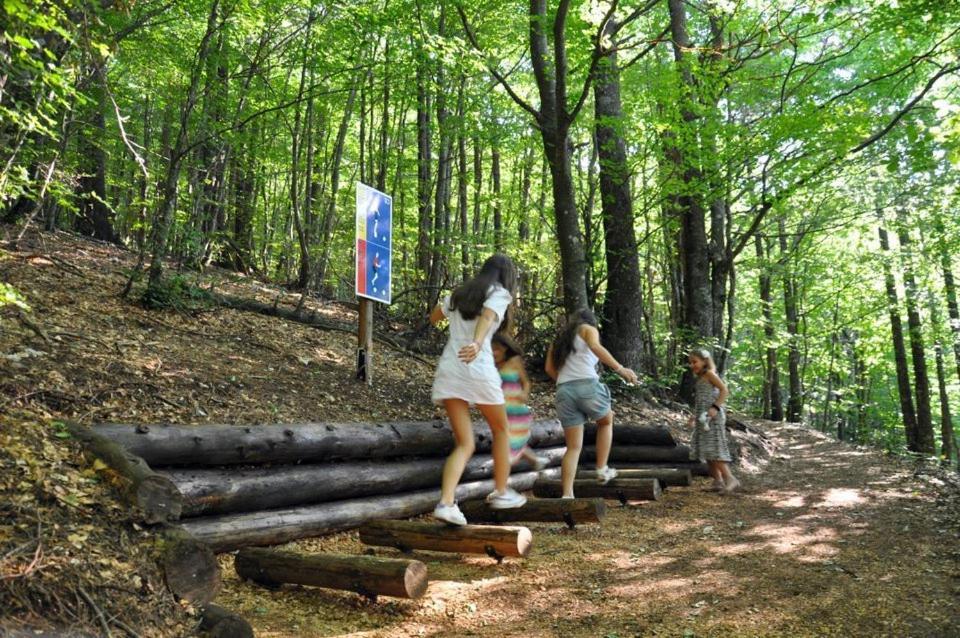 Hotel Snjezna Kuca - Nature Park Of Bosnia Herzegovina Padezina Exterior foto