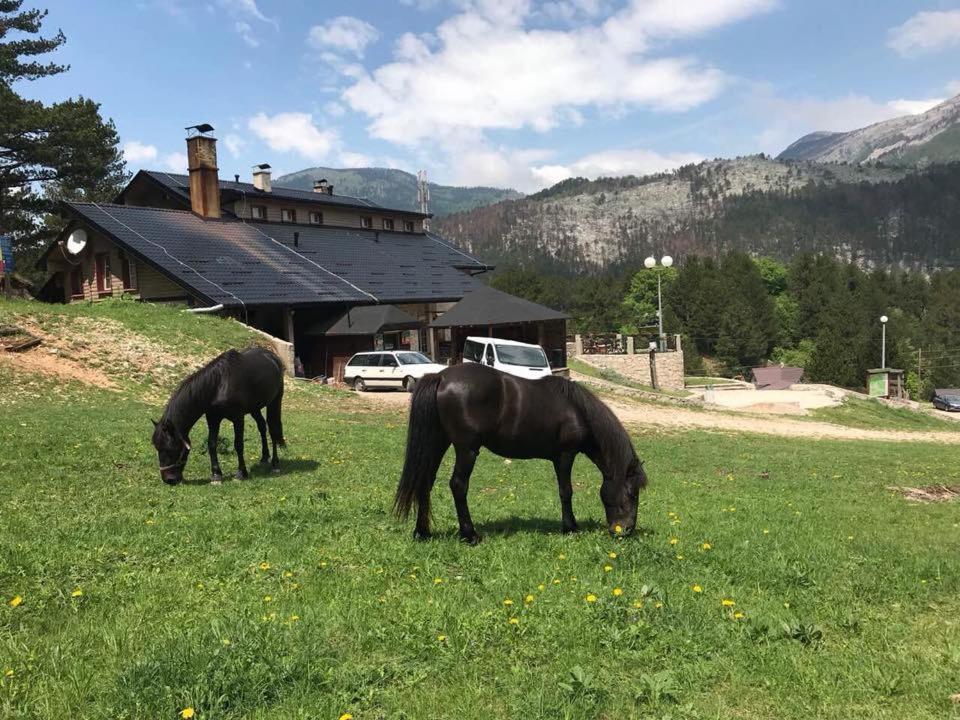 Hotel Snjezna Kuca - Nature Park Of Bosnia Herzegovina Padezina Exterior foto