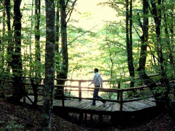 Hotel Snjezna Kuca - Nature Park Of Bosnia Herzegovina Padezina Exterior foto